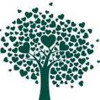 st peter & st james hospice lottery
